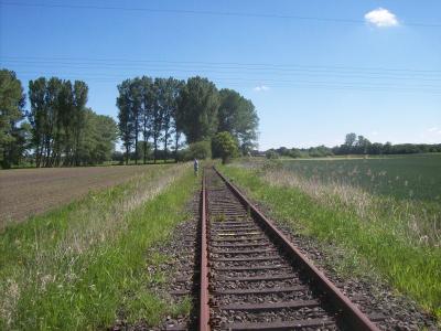 Foto des Albums: Friedrichskoog