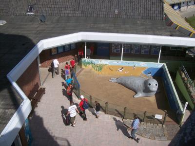 Foto des Albums: Friedrichskoog