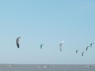 Foto des Albums: Friedrichskoog