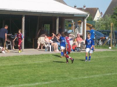 Foto des Albums: Friedrichskoog