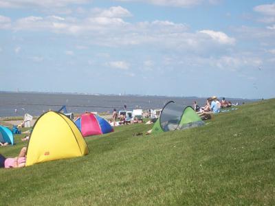 Foto des Albums: Friedrichskoog