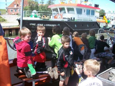 Foto des Albums: Friedrichskoog