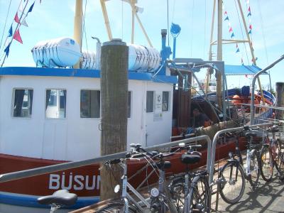 Foto des Albums: Friedrichskoog