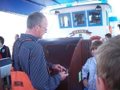 Foto des Albums: Friedrichskoog