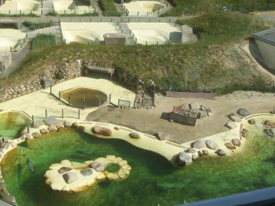 Foto des Albums: Friedrichskoog