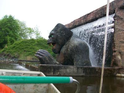 Foto des Albums: Bispingen