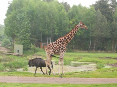 Foto des Albums: Bispingen