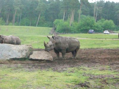 Foto des Albums: Bispingen