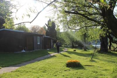 Foto des Albums: Mittweida