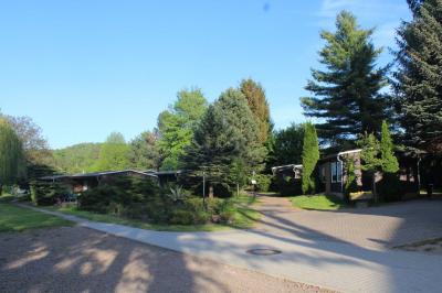 Foto des Albums: Mittweida