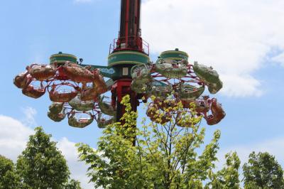 Foto des Albums: Mittweida