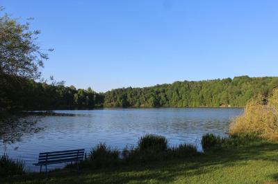 Foto des Albums: Mittweida