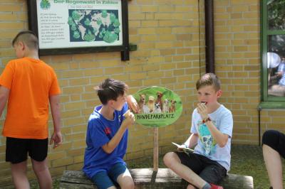 Foto des Albums: Lubmin