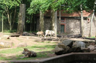 Foto des Albums: Lubmin