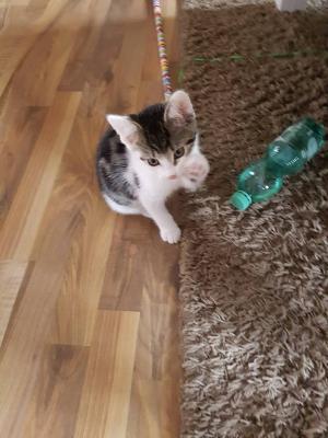 Foto des Albums: #GemeinsamAktiv (20.​04.​2020)