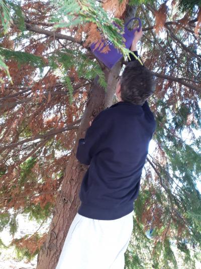 Foto des Albums: Ostergrüße aus der Dr.-Rinsche-Wohnstätte