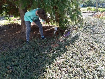 Foto des Albums: Ostergrüße aus der Dr.-Rinsche-Wohnstätte
