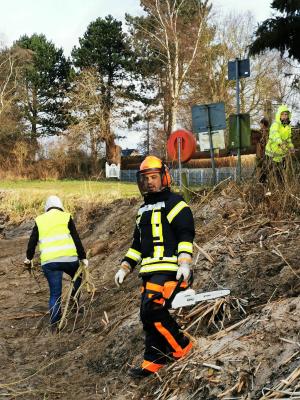 Foto des Albums: Sägetag der Gemeinde 