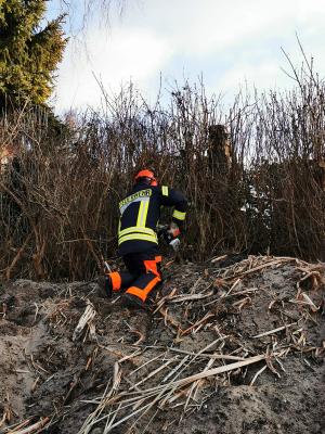 Foto des Albums: Sägetag der Gemeinde 