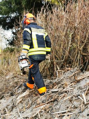 Foto des Albums: Sägetag der Gemeinde 