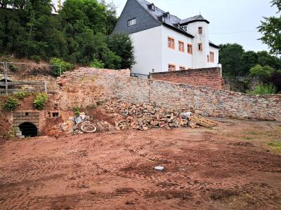 10.06.2020  (Bild vergr&ouml;&szlig;ern)