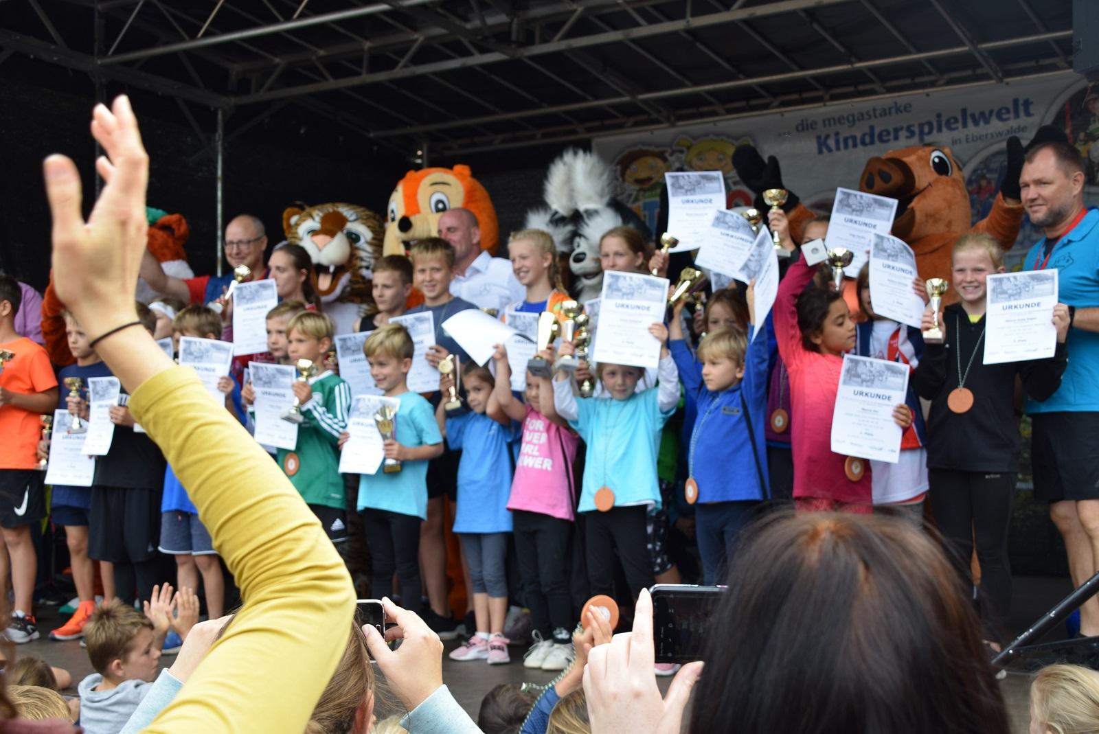 Light Me Amadeu Anregungen