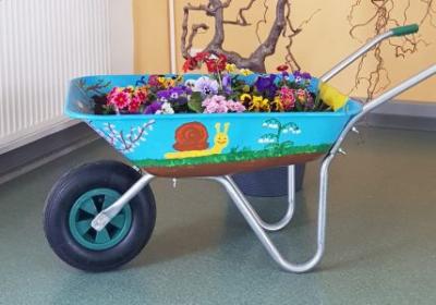 Foto des Albums: Schulprojekt zur Natur und Umweltbildung