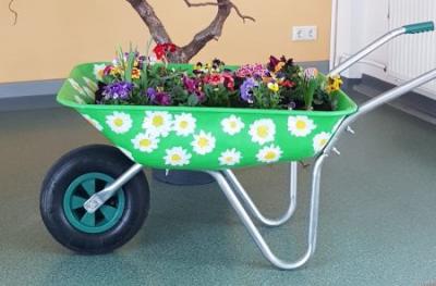 Foto des Albums: Schulprojekt zur Natur und Umweltbildung