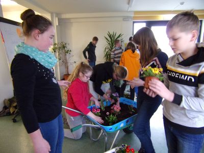 Foto des Albums: Schulprojekt zur Natur und Umweltbildung