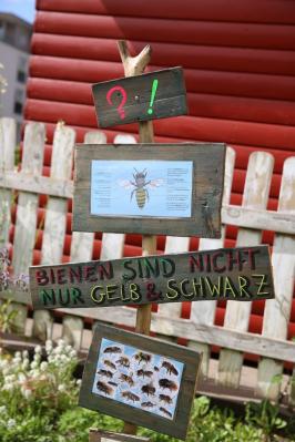 Foto des Albums: Spielgeräteschuppen & Schulgarten