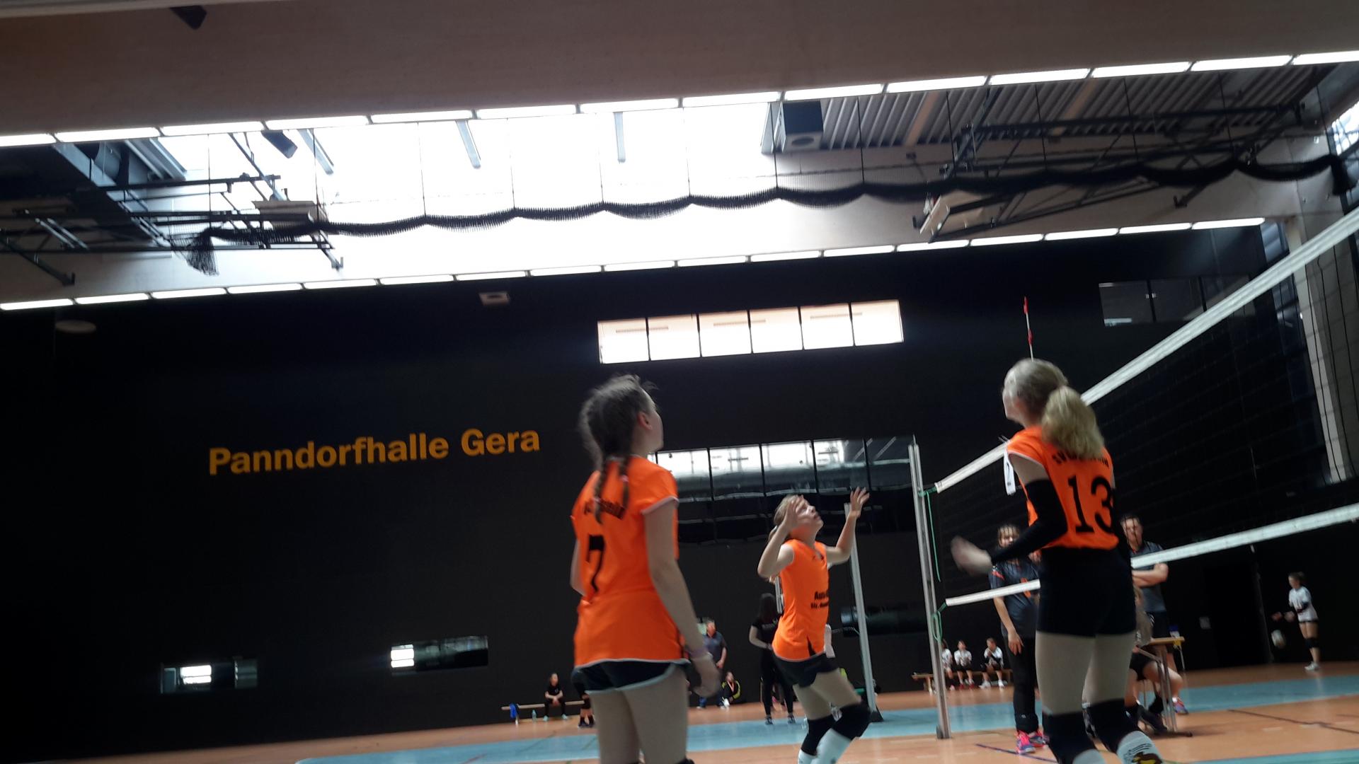 Bild der Galerie