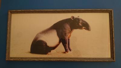 Foto des Albums: Tapir Limo herstellen