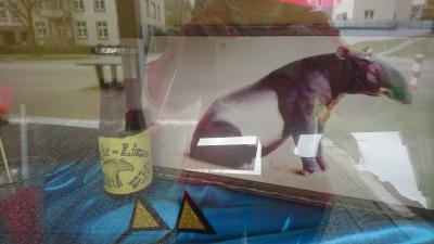 Foto des Albums: Tapir Limo herstellen