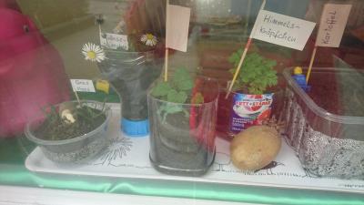Foto des Albums: Dem Frühling auf der Spur