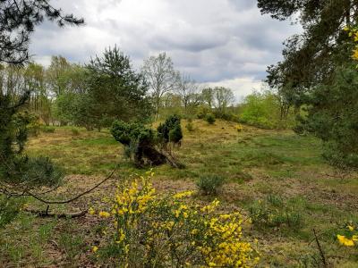 H&uuml;gelgrab Am Osterberg 