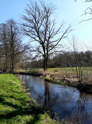 Die Seeve 