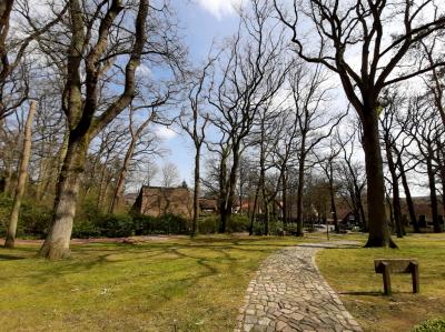 Niedersachsenplatz, Park mit alten Eichen 