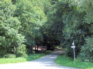 nw  (Bild vergr&ouml;&szlig;ern)