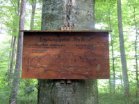 waldlehrpfad2  (Bild vergr&ouml;&szlig;ern)
