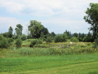 biotop1  (Bild vergr&ouml;&szlig;ern)