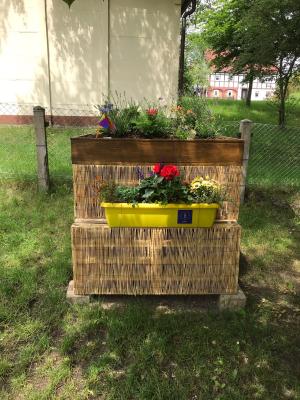 Foto des Albums: Insektenhotel
