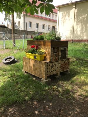Foto des Albums: Insektenhotel