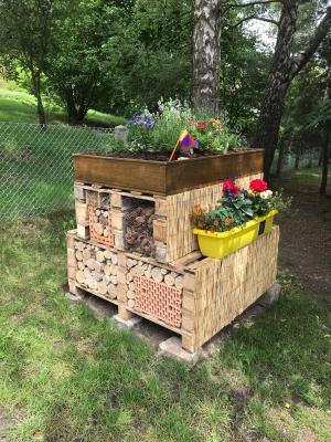 Foto des Albums: Insektenhotel