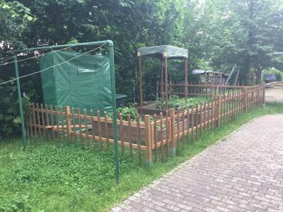 Foto des Albums: Der Hort zeigt den grünen Daumen
