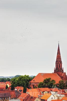 Foto des Albums: Bunte Ballons "statt Fest"