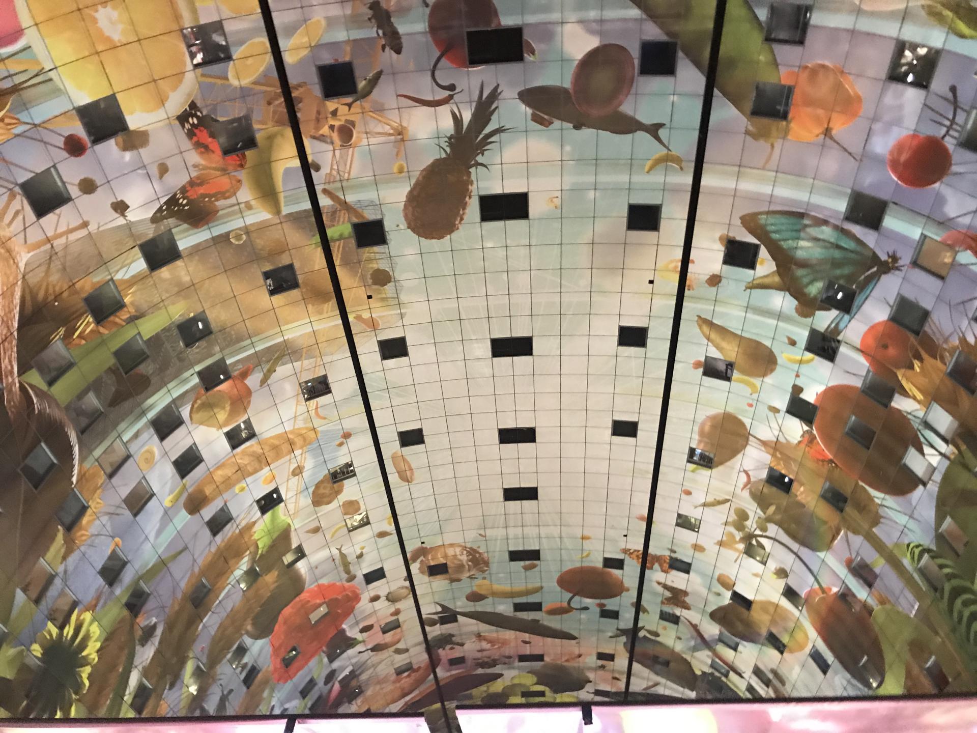 Bild: Decke der Markthalle Rotterdam