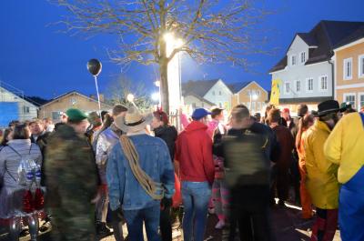 Foto des Albums: Rosenmontag 2020 - Fotos Werner Schachtner