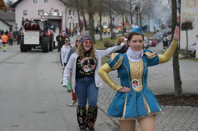 Foto des Albums: Rosenmontag 2020 - Fotos Werner Schachtner