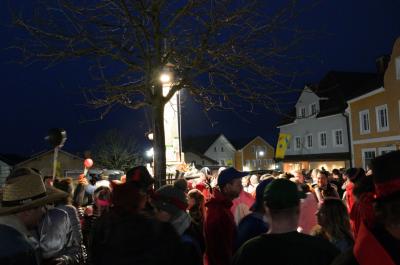 Foto des Albums: Rosenmontag 2020 - Fotos Werner Schachtner