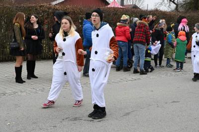 Foto des Albums: Rosenmontag 2020 - Fotos Werner Schachtner